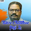 About Tulasi Chandane Puji Le Song